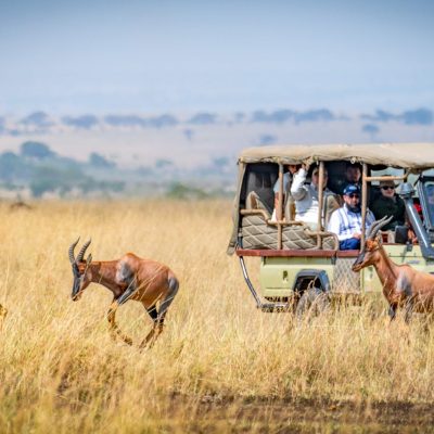 game-viewing-drive-masai-mara game-viewing-drive-masai-mara