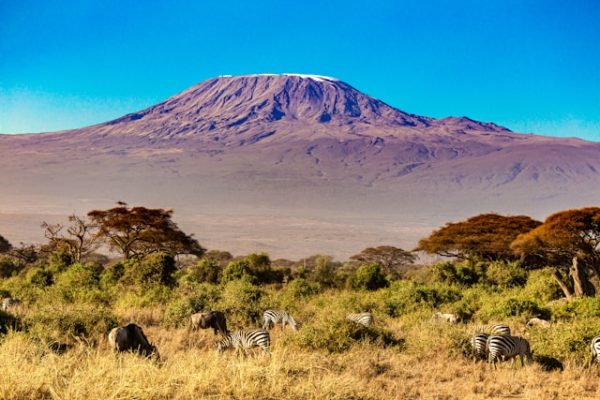 mt-kilimangaro-kenya-tour