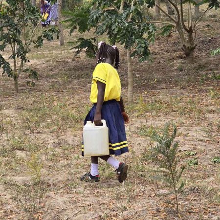 tree-planting-my-kenya-safari-07